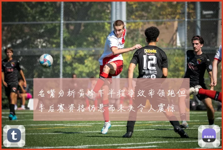 名嘴分析黄蜂下半程净效率领跑但季后赛资格仍悬而未决令人震惊